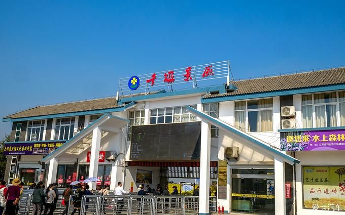 中年|春暖花开游江南-千垛景区水上森林之旅