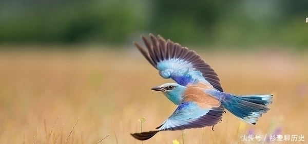 五经|四书五经名句起名:10个德才兼备的女孩名字,哪一个最让你魂牵