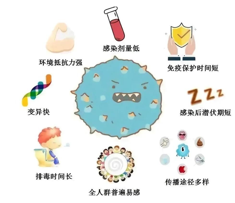 感染|北京疾控：开学伊始，诺如病毒易传播，专家教你如何预防