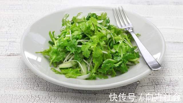 保存香菜有诀窍,菜贩子教我一招,越放越鲜,吃到来年春天没问题