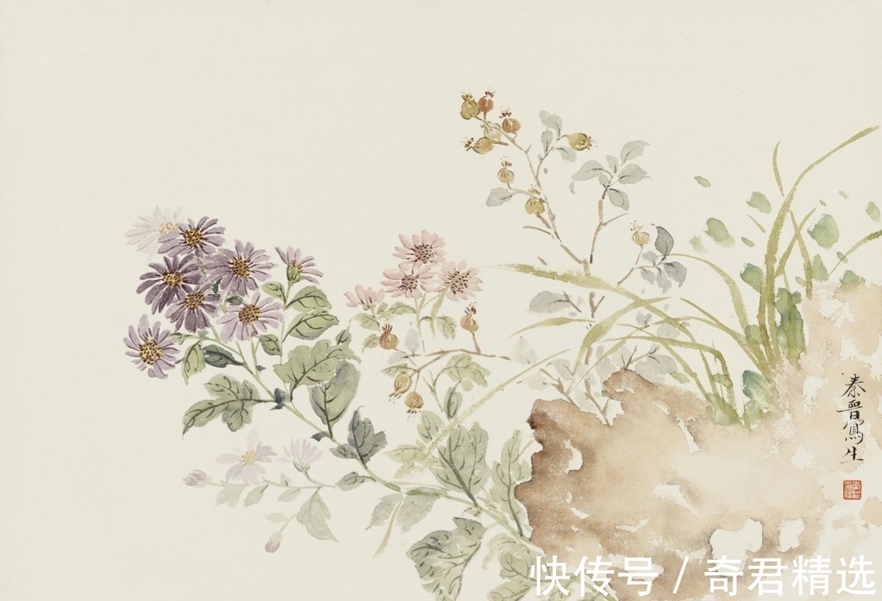 花卉$「津门网」用没骨法绘制花卉,这极其考验画家对笔墨色彩的把控