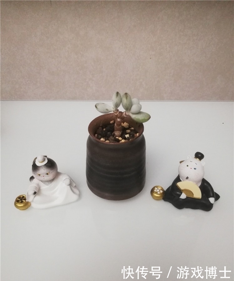 一肉一世界，一方一净土