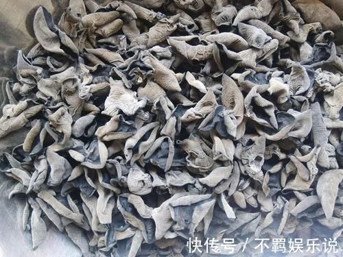 木耳|若在石壁上见到这“东西”，请你重视起来，价值很高，不要错过