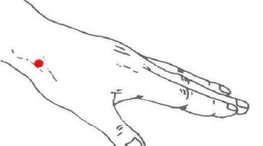 耳鸣|耳鸣患者的“福音”!老中医:手腕有个“坑”,耳鸣见到就逃跑!