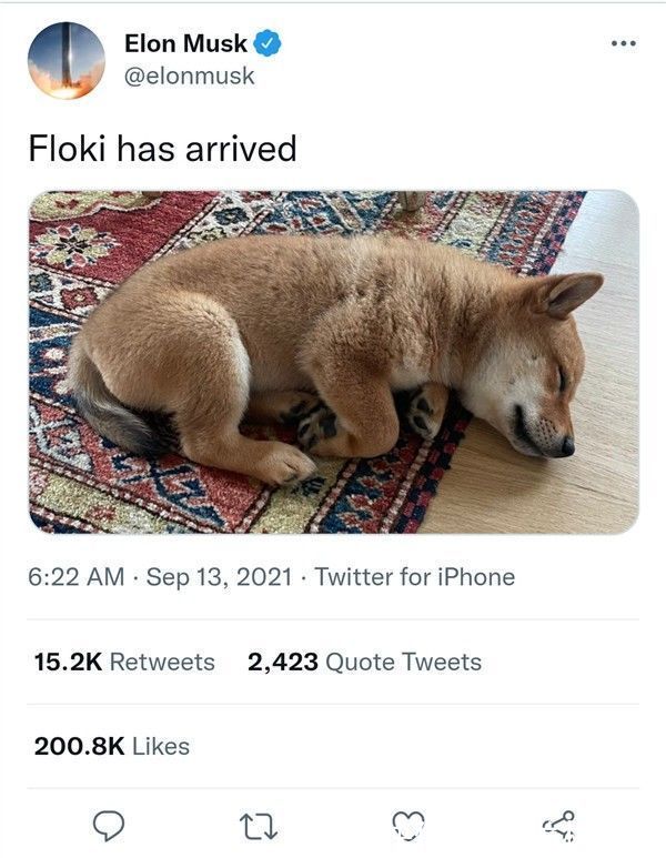floki|马斯克晒了一张宠物狗图 山寨虚拟币上涨14倍