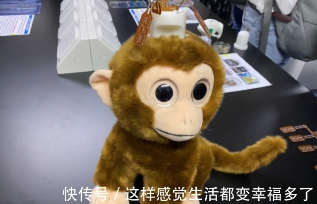 p“世界人工智能大会”看什么?