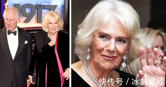 伊丽莎白|卡米拉的蛇形项链20年前做情人时查尔斯送的,蛇蝎气质一目了然