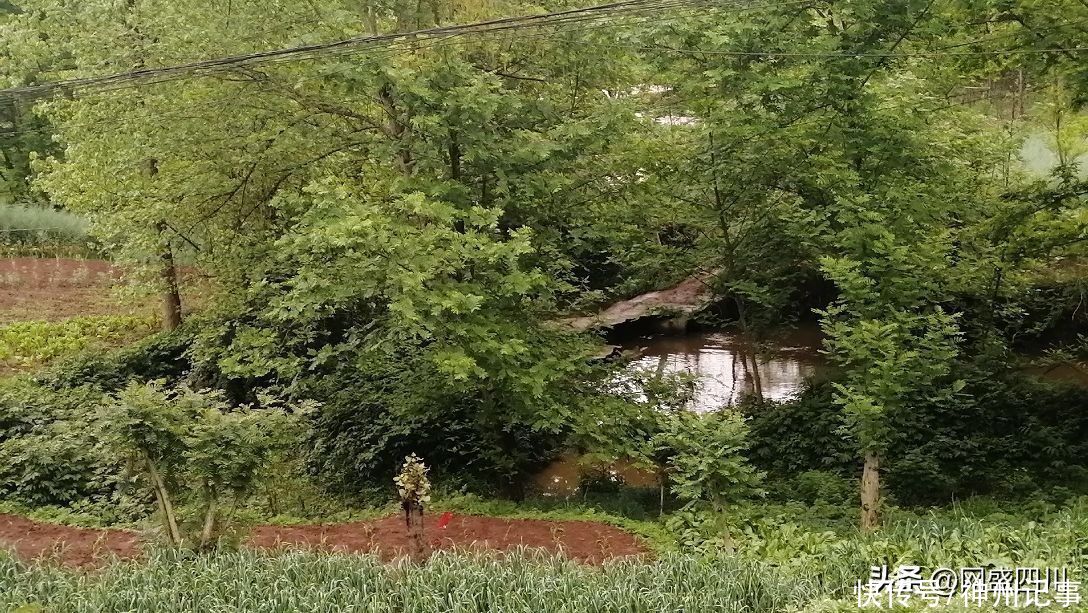 清明，在祭祖的路上看风景（二）