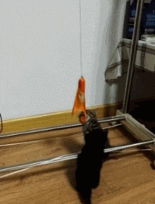 |搞笑GIF:不知道该哭还是笑 一进门看到男友偷用我的东西