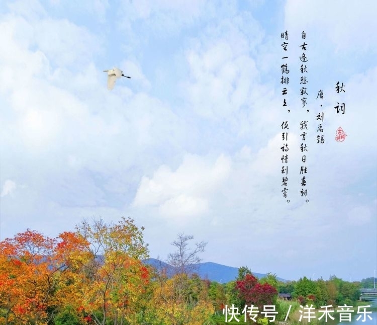 春朝|秋气盈胸志存高,且看秋情不寂寥