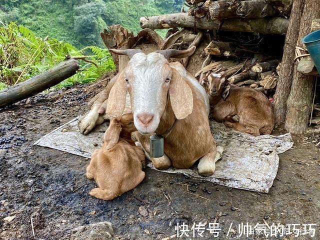 碎石公路|距成都80多公里有处冷门徒步胜地，风景原始，古道沧桑古庙深藏