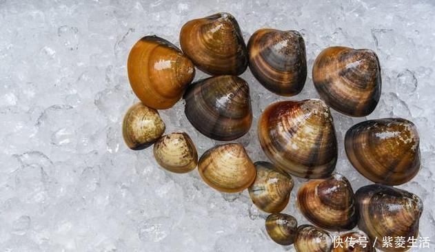 软坚|一味不被人熟知的良药,“除一身之湿消水肿,软内外硬结散瘿瘤”