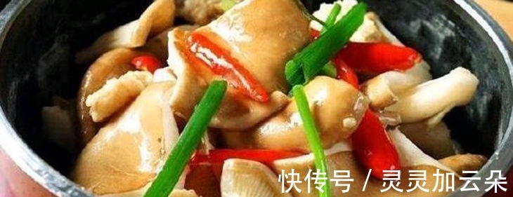 料酒|10余款菜肴持续推荐，每天不重样味道很鲜美，试试做几道吧！