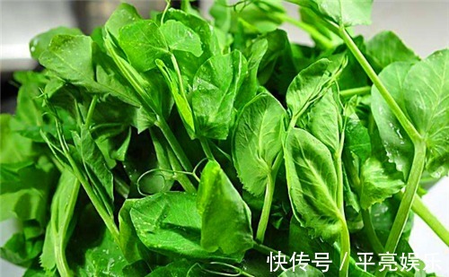 绿色蔬菜|秋天来了，女性想要显年轻，可多吃以下食物，消除皱纹，排毒消脂