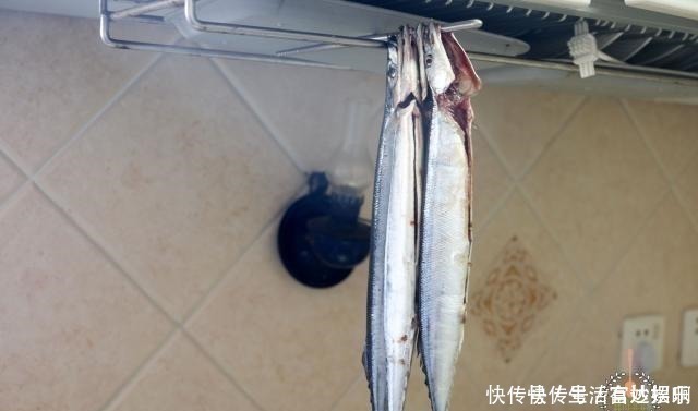 脑黄金|这鱼在日本被称为脑黄金,价格昂贵,中国便宜,很少人吃