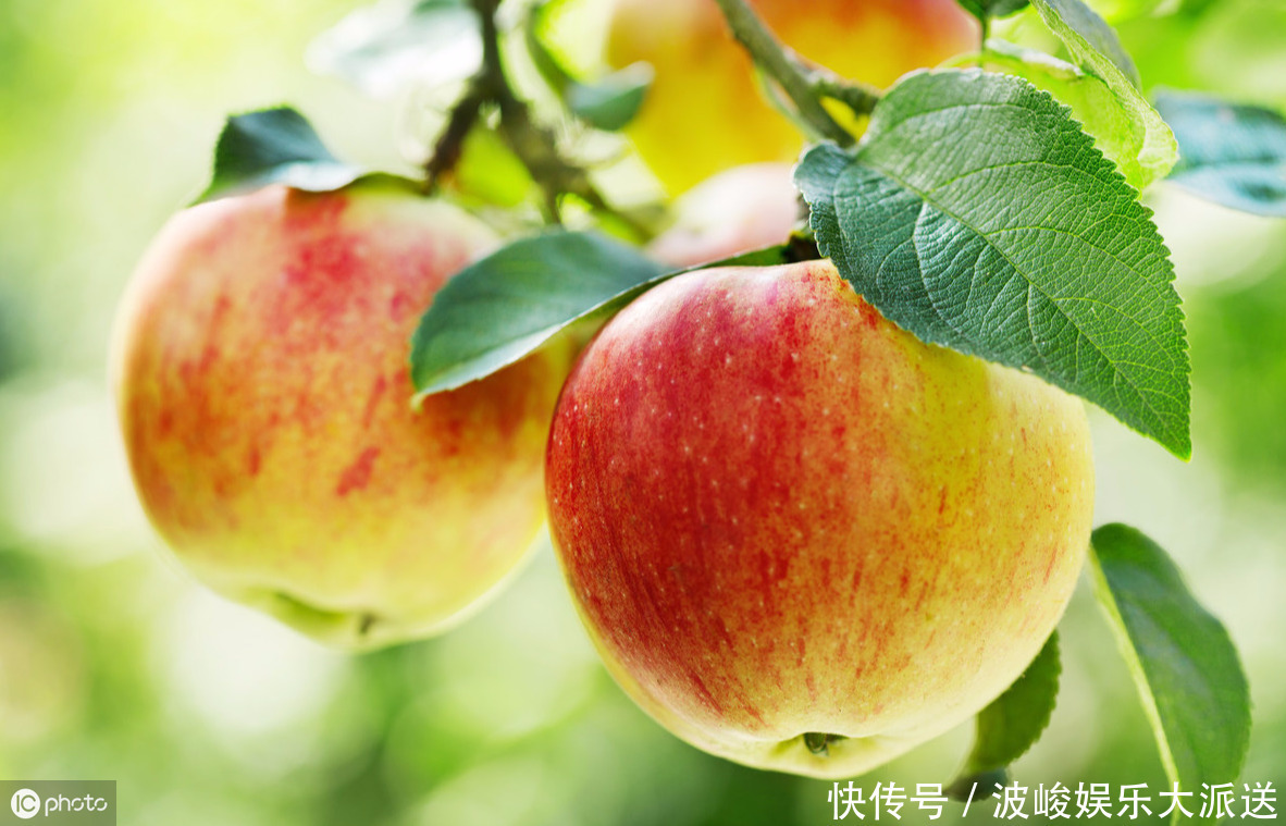 男性年过40,几种食物可多吃,激发雄激素,比同龄人更显年轻