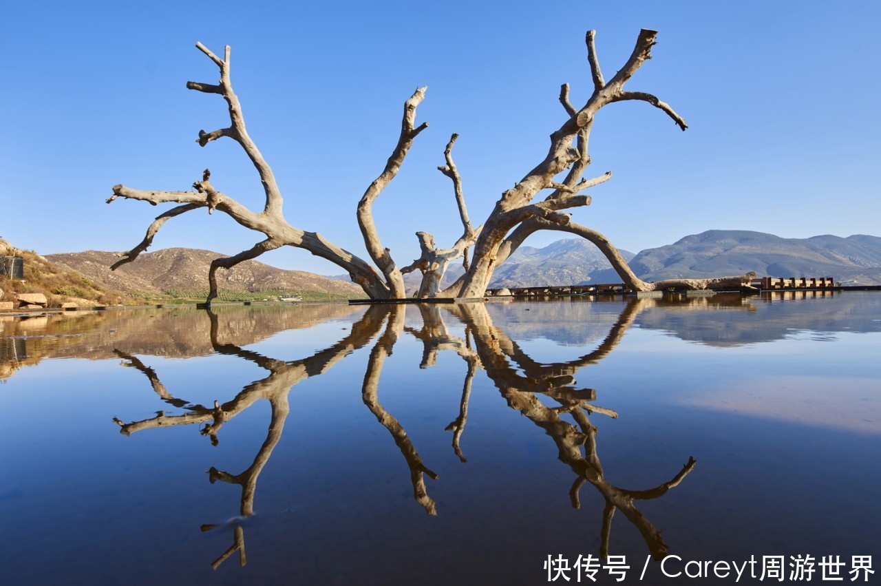 融入|融入天地间的布鲁玛酒庄