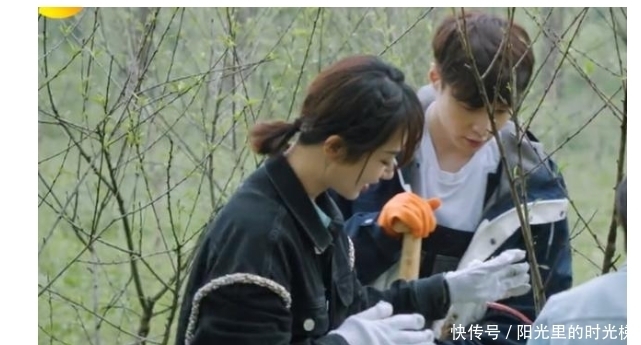 睡衣 杨紫,求你可别再上《向往的生活》了