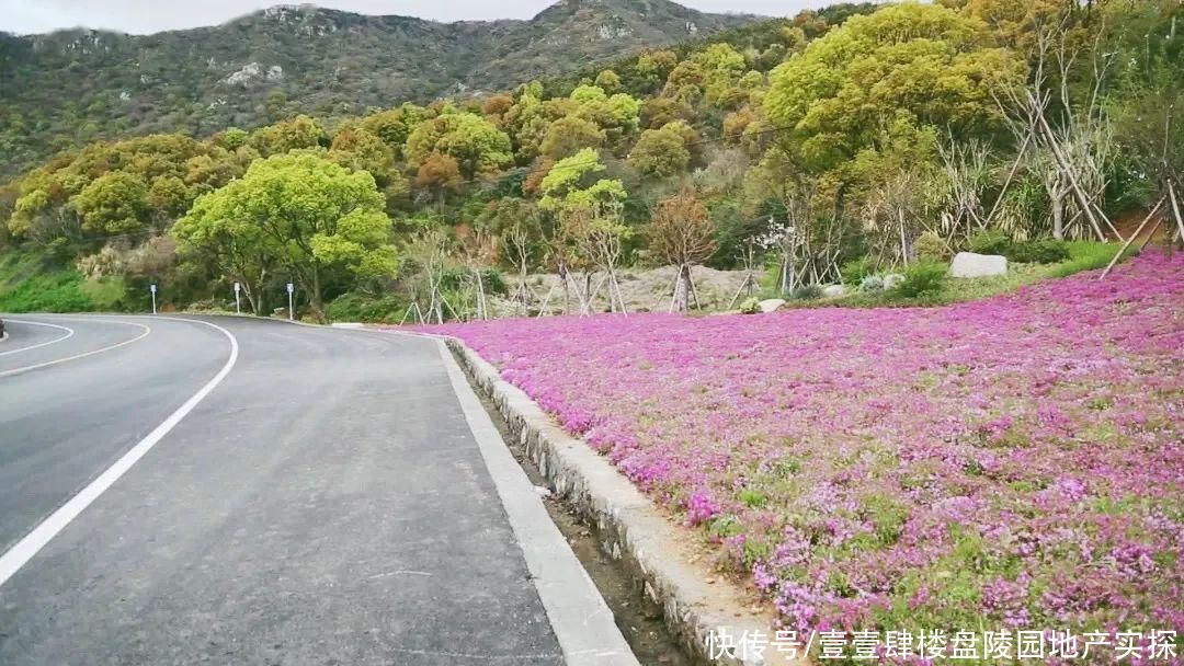 普陀最美公路螺塘线饱览海景，茶山还可以野炊拓展，好玩到炸裂