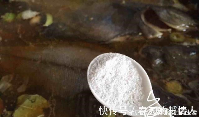 番茄沙司|它是被人误解最多的鱼,浑身上下都是宝贝,9元一斤,却无人问津