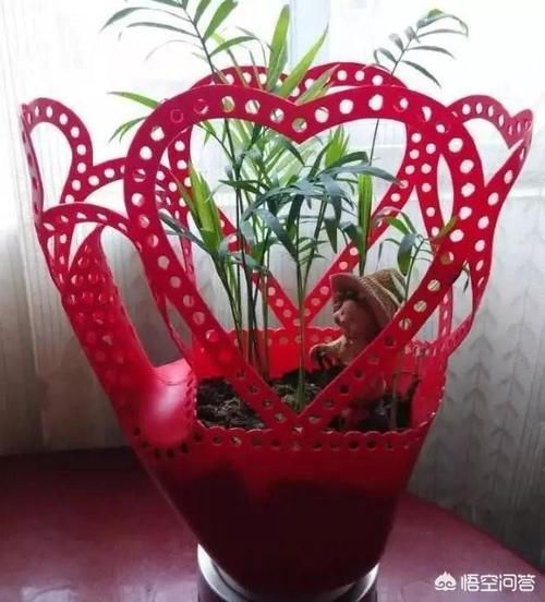 洗衣液桶怎样做花盆?