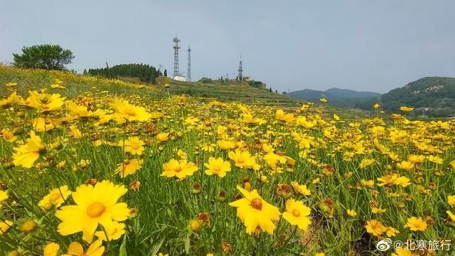 瀑布|瀑布清泉、虫鸣鸟叫、晨观云海、夜观星空，这个21℃的“山水画廊”邀你来清爽一夏!