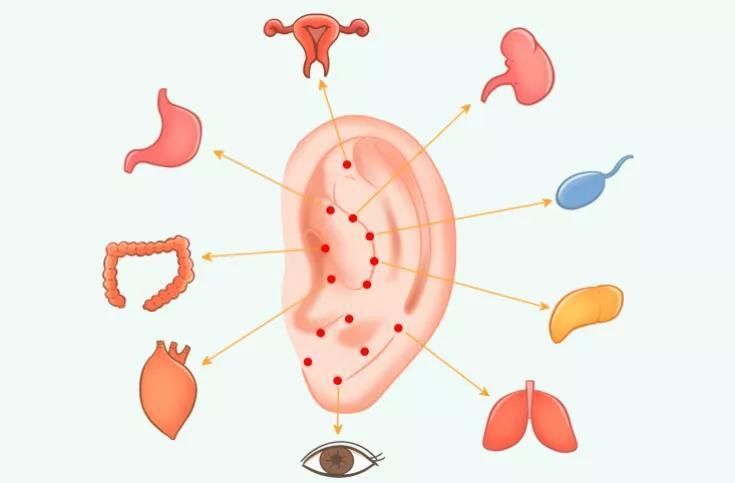  中医说耳朵上有一个健康“开关”，勤加按摩即可启动健康