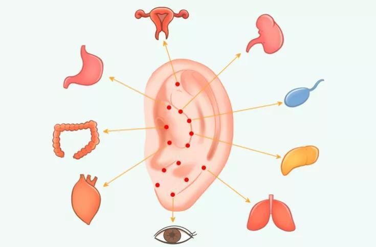 中医说耳朵上有一个健康“开关”,勤加按摩即可启动健康
