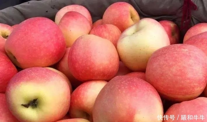 学会|买苹果时,别只会挑红的,学会这几招,个个又脆又甜!