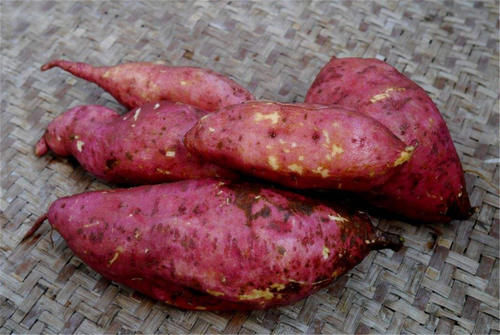 红薯|经常吃红薯,3个益处不请自来,医生却说这两类人最好不要吃