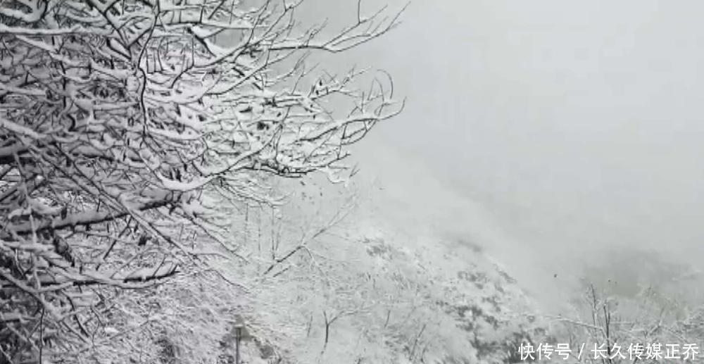 白茫茫|多图直击：2020湘西初雪已至 雪树玉砌 琉璃世界