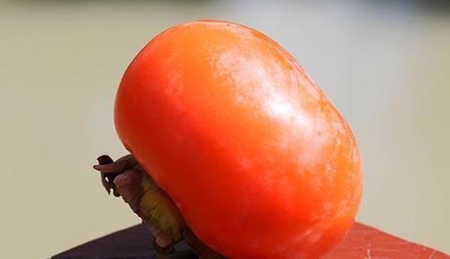 俗话说“男怕柿子女怕梨”,为何要怕柿子和梨看完才懂其中道理