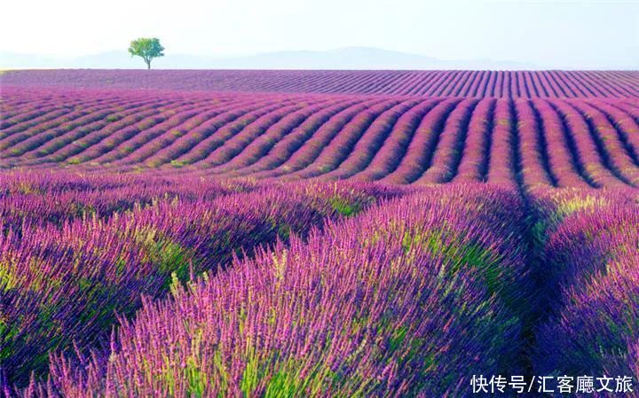 夏日新疆，究竟有哪些地方让人这么着迷？