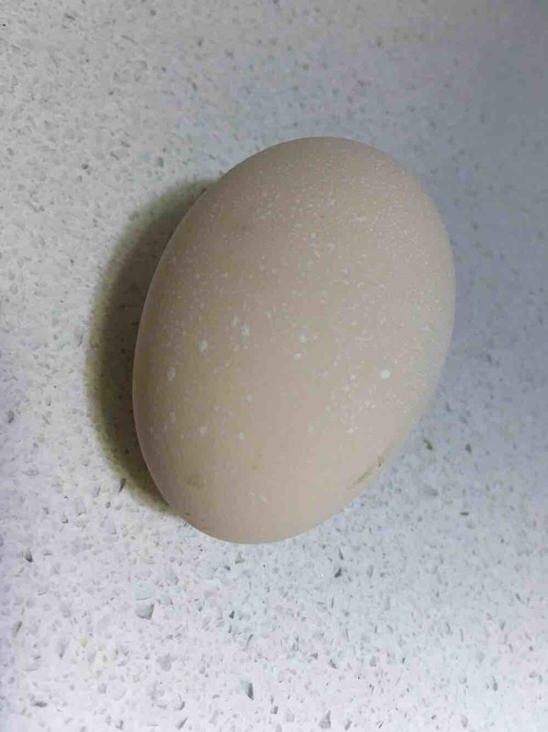 这菜千万不要隔夜吃！吃了比吸烟危害还大，许多人都在做这菜