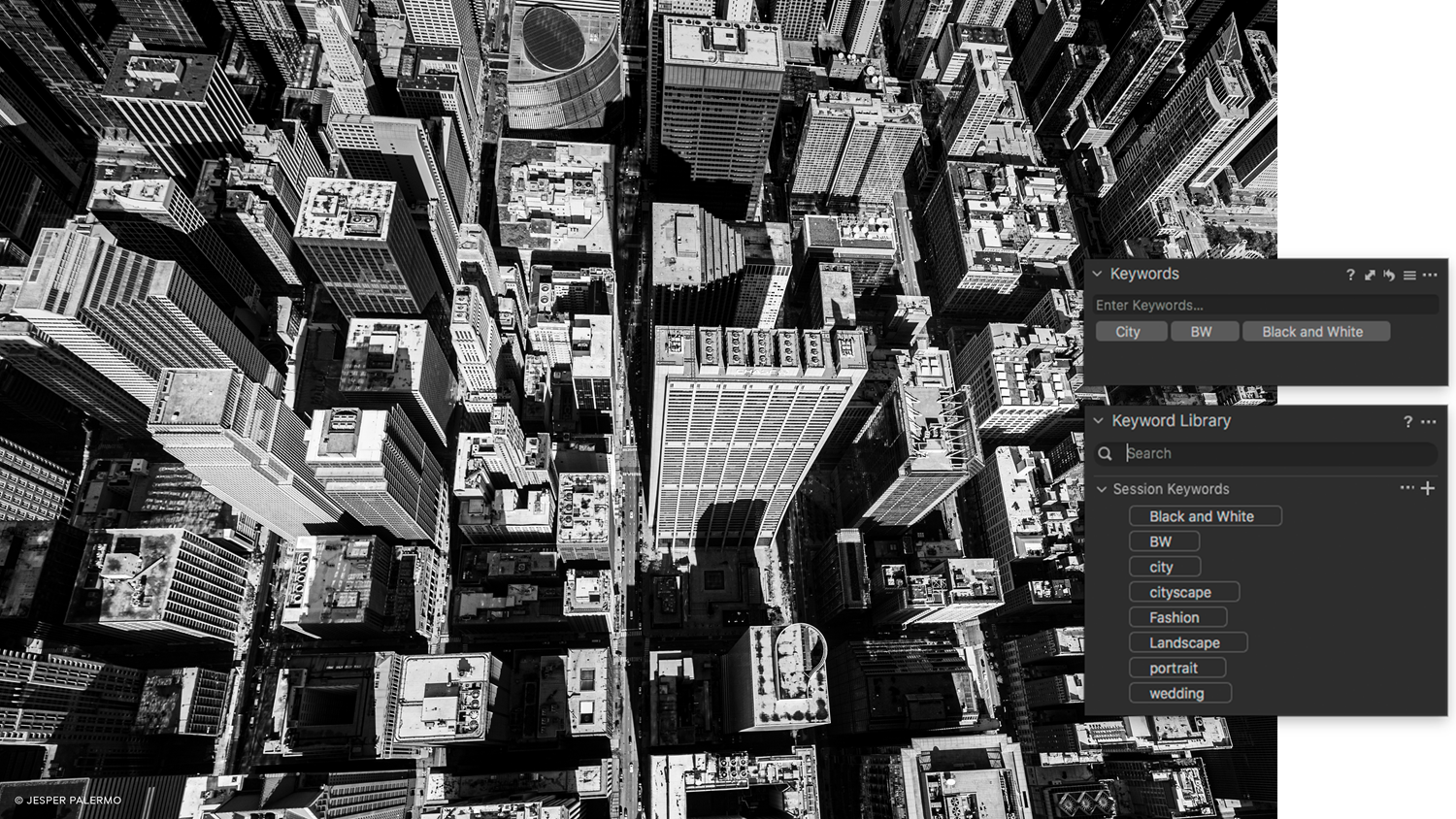 Capture One 21 Pro for Win v14.4.0.101 简体中文破解版