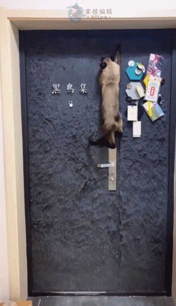 网红|跟风网红装修的人越来越多,只为拍照好看,入住后“一塌糊涂”