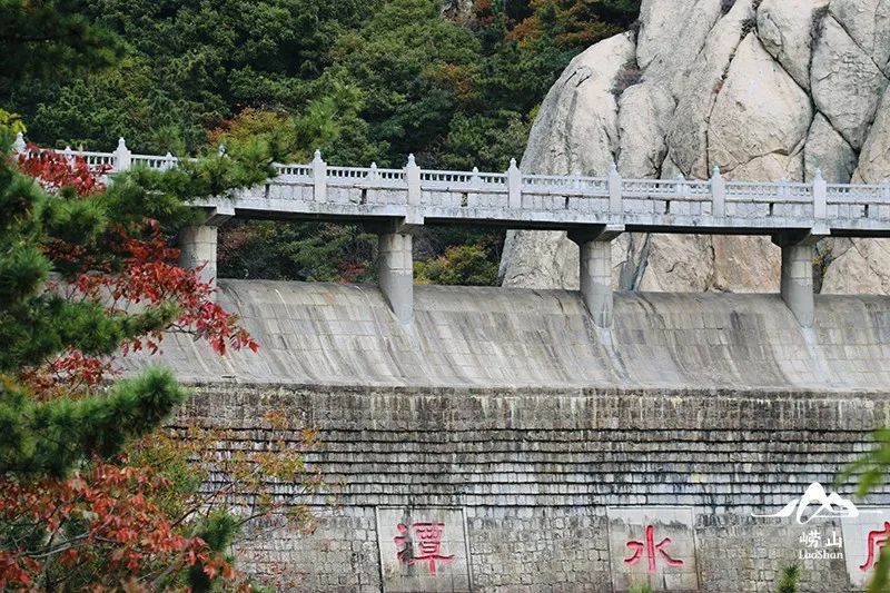 崂山风景区特约摄影|实况播报！绝美赏秋图鉴，醉入崂山秋色里