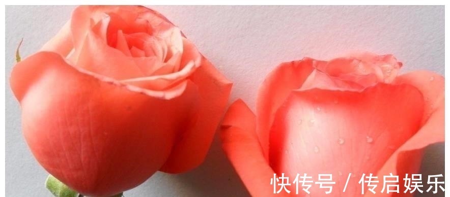 天蝎座|未来5天,生来就是黄金命的4星座,好运爆棚,颜值高,形象好