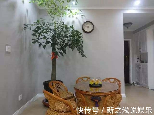 设计风格|新房早已装修完毕，等通风完毕就能入住了，提前晒一晒幸福小家