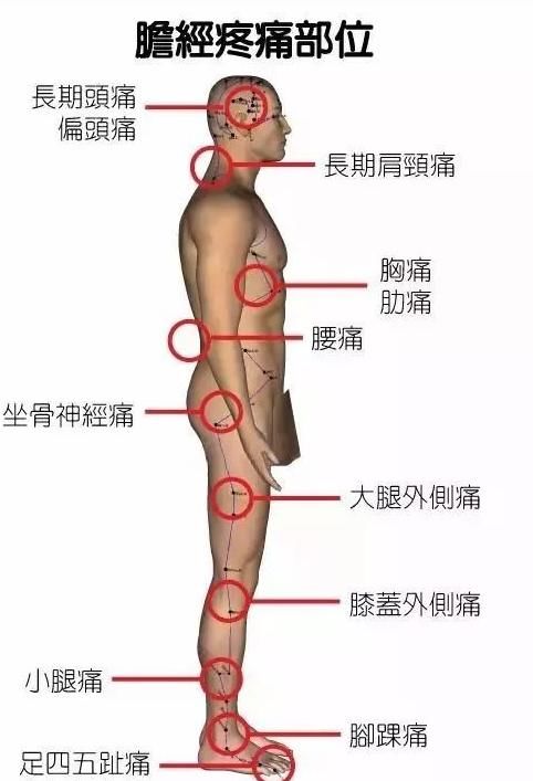 通畅|经络不通百病缠身,找准根源最重要,每天10分钟,疏通经络保健康