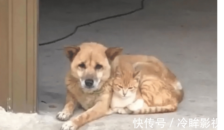 群众演员|“跑长途千万别买这种手套，因为.....”