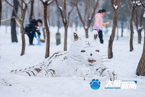 我慢慢地品 雪落下的声音|图集| 雪地