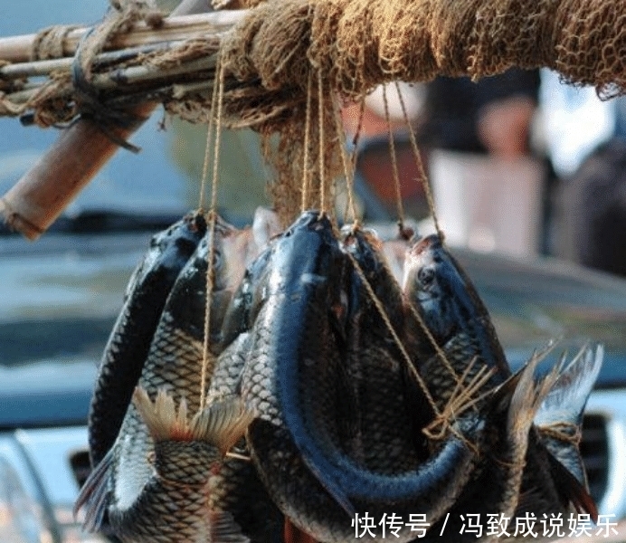 水中|神奇的古老弓鱼术，鱼离开水2天，照样鲜活