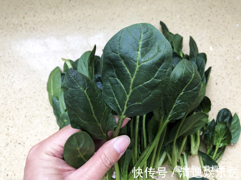 买菠菜时，选“长”还是选“短”的牢记“3不买”，别随便买了