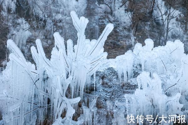 河南|大寒时节迎降雪，河南云台山雪景雾凇美若仙境｜组图