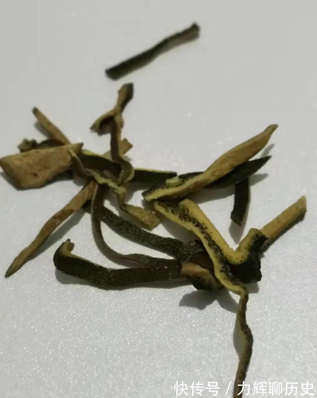 破气|青皮，一味顺气的良药！学会3大妙用法，顺心又顺气，一顺百顺