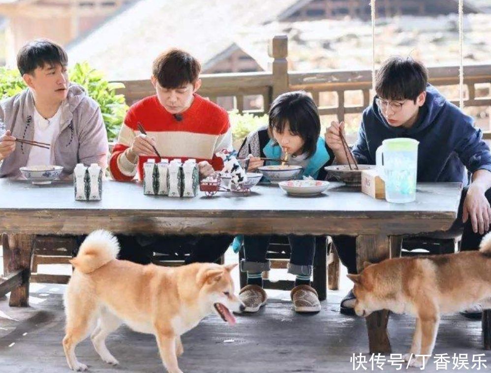 歐陽娜娜|沒等來《向往4》，黃磊何炅轉(zhuǎn)頭錄制新綜藝，嘉賓陣容太神仙