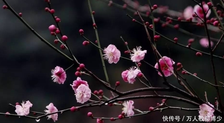 遇到倒春寒，也可以愉快地钓鱼