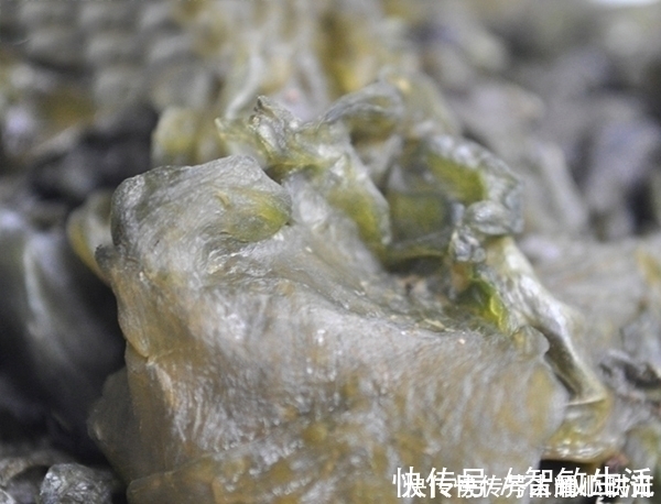 农村烂在地里没人要，没想到城里人却争着买，长得丑，特好吃