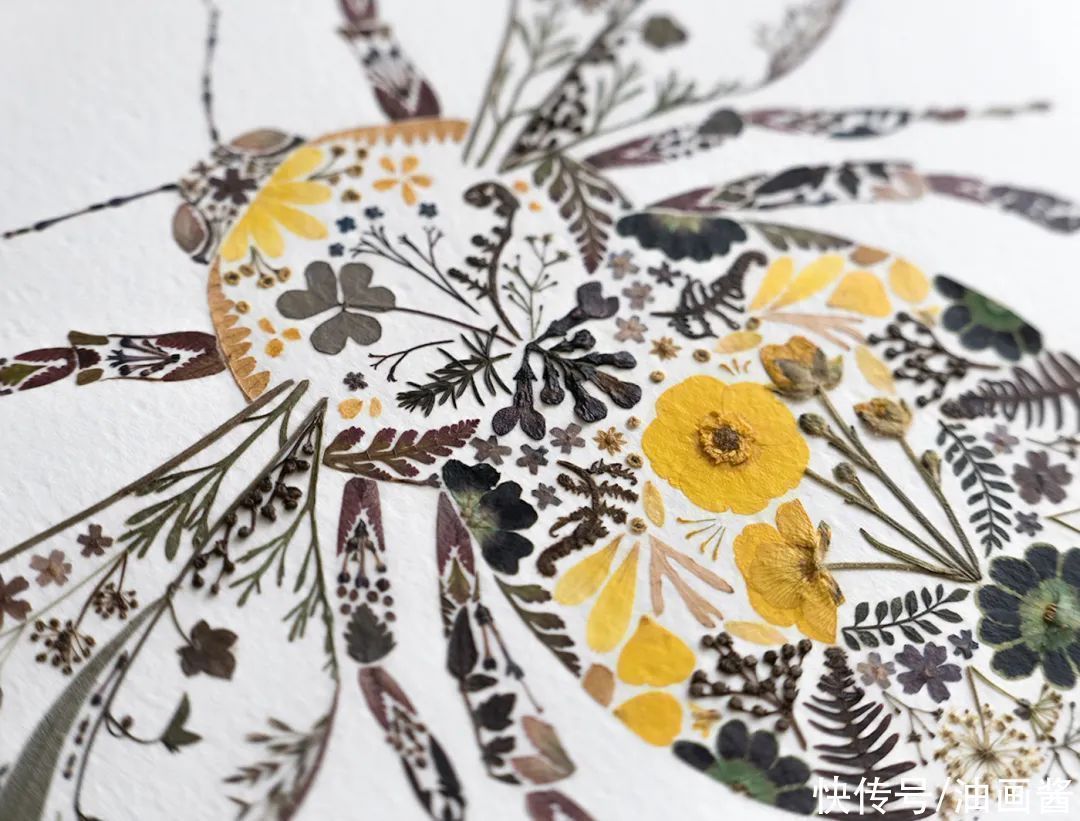 艺术作品&她画画的材料是花瓣,工具是把刀,直接用刀刻出画